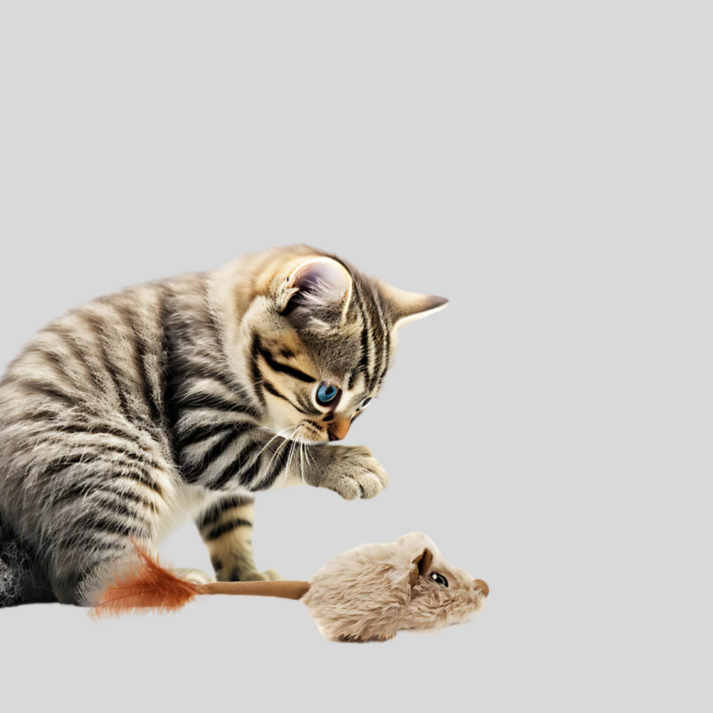 Cat Toys