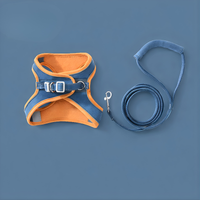 Orange & Blue
