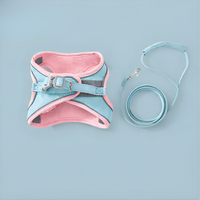 Pink & Blue