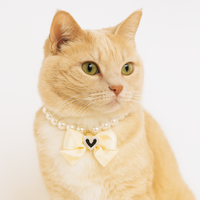 Chic Love Pearl Collar