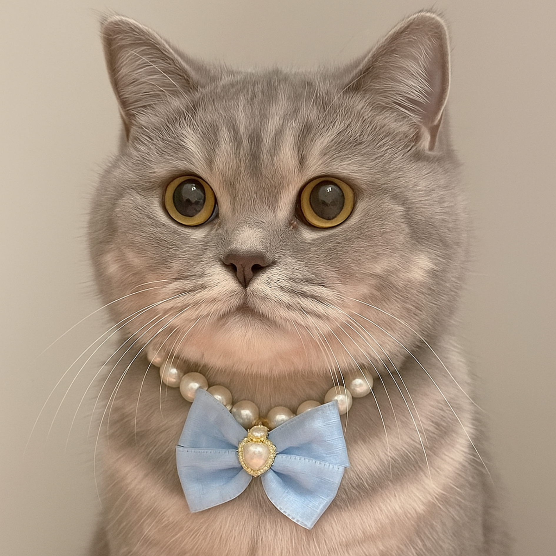 Elegant Cat Necklace – Faux Pearl Collar