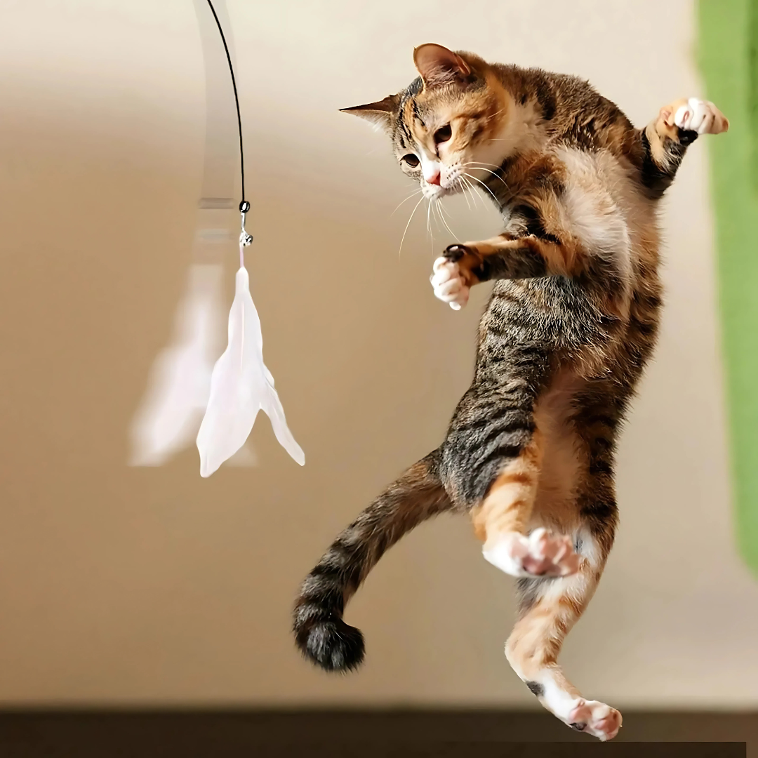 Simulated Bird Wand Cat Toy