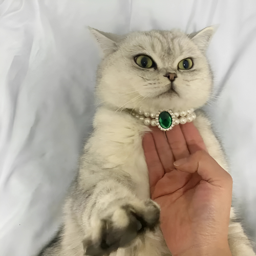 Elegant Cat Necklace – Faux Pearl Collar