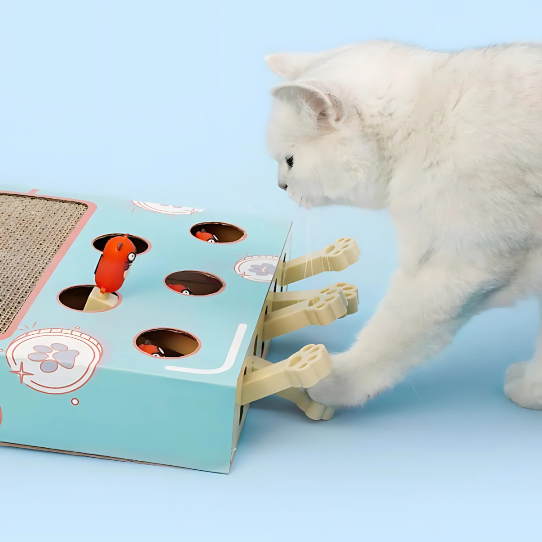 Whack-a-Mole Cat Toy with Scratching Board