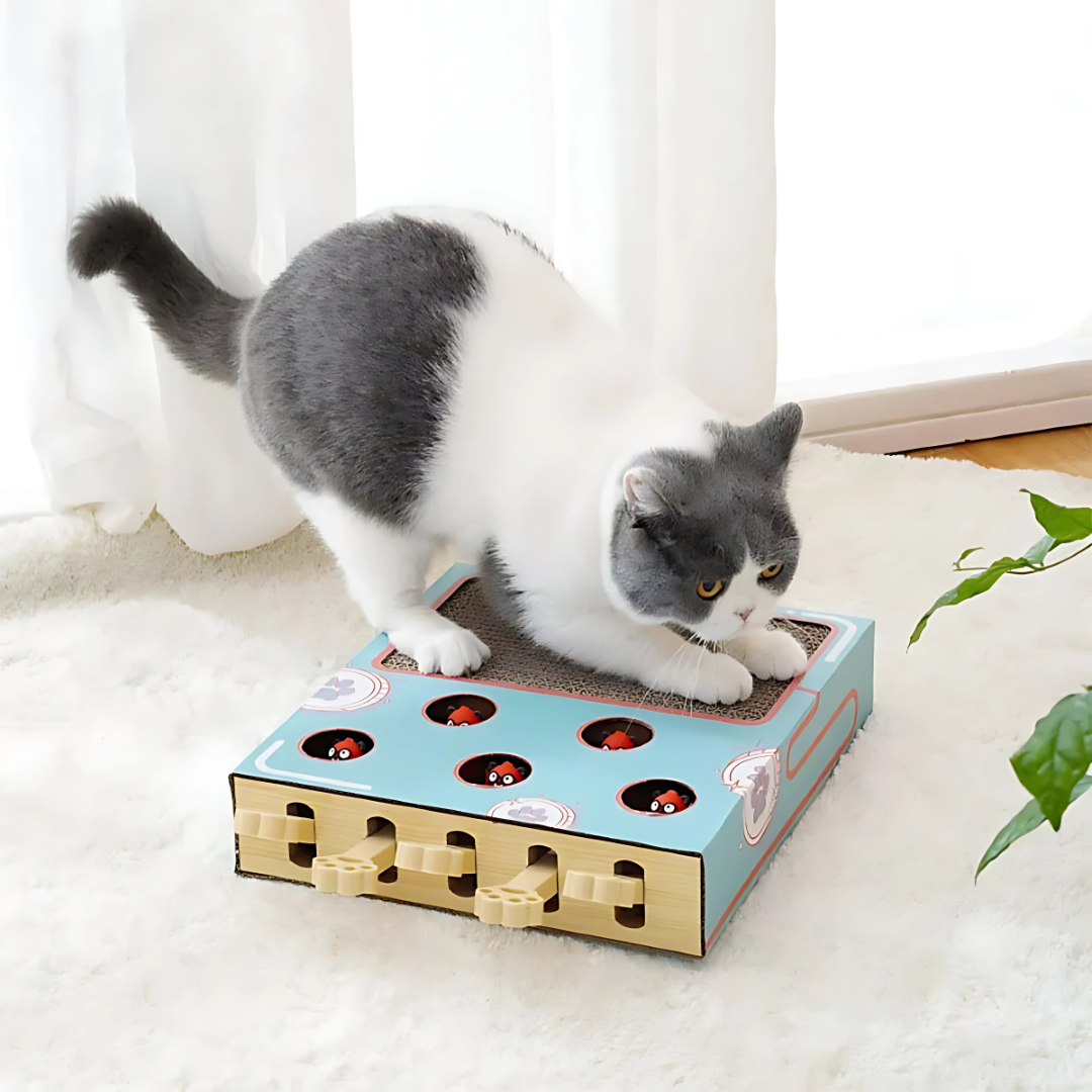 Whack-a-Mole Cat Toy with Scratching Board