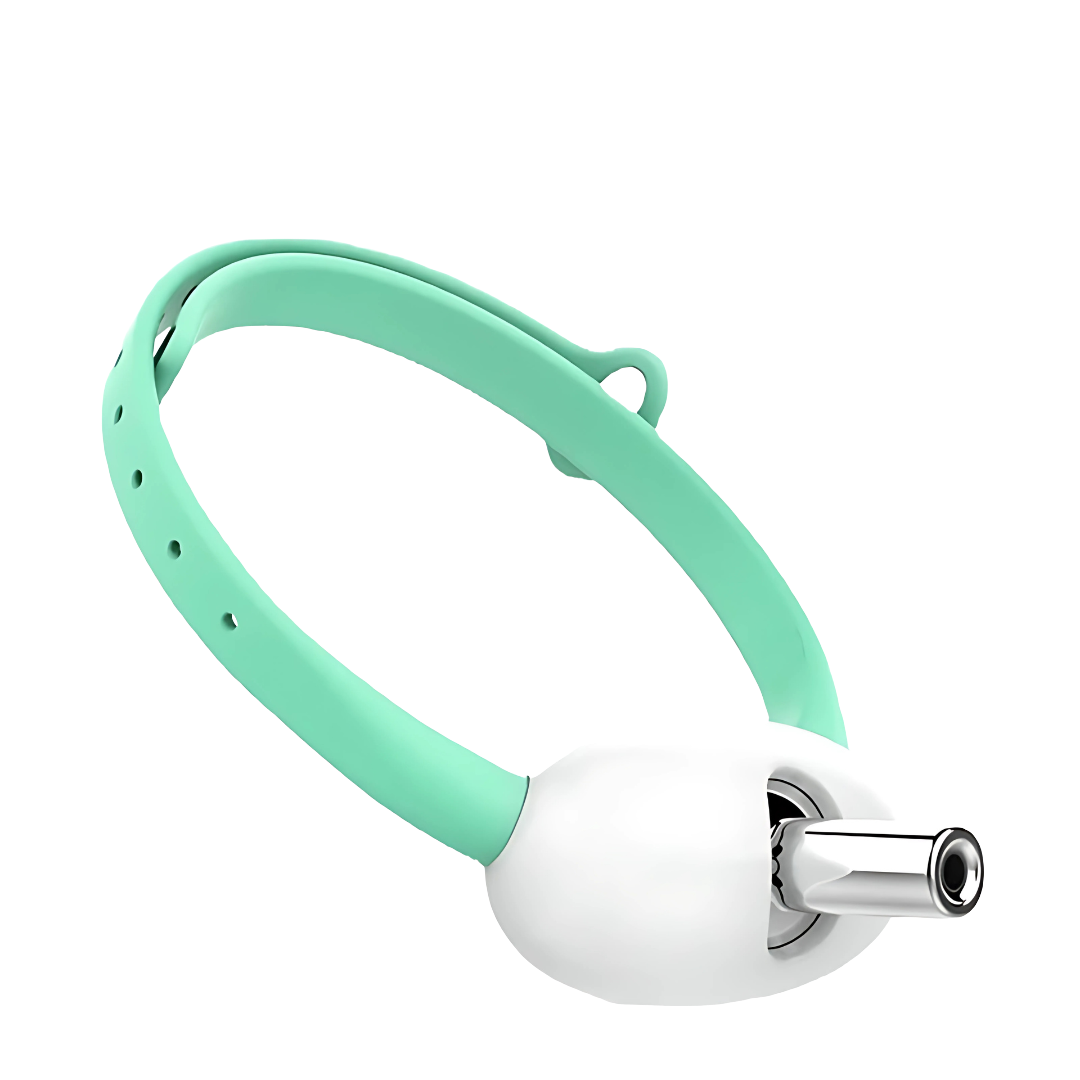Interactive Cat Laser Collar