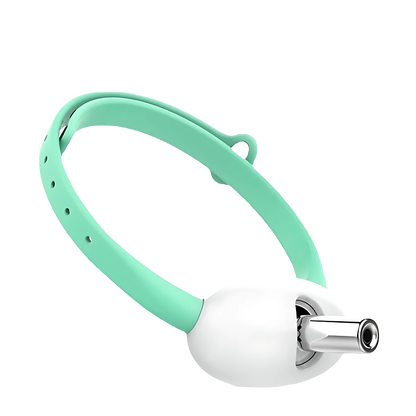 Interactive Cat Laser Collar