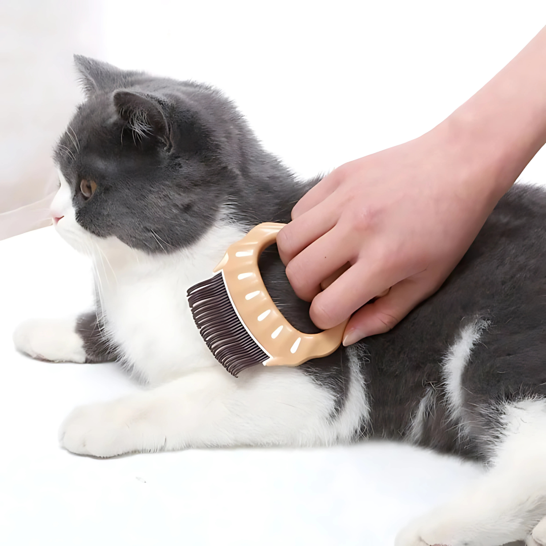 Pet Hair Removal Massaging Slicker Brush