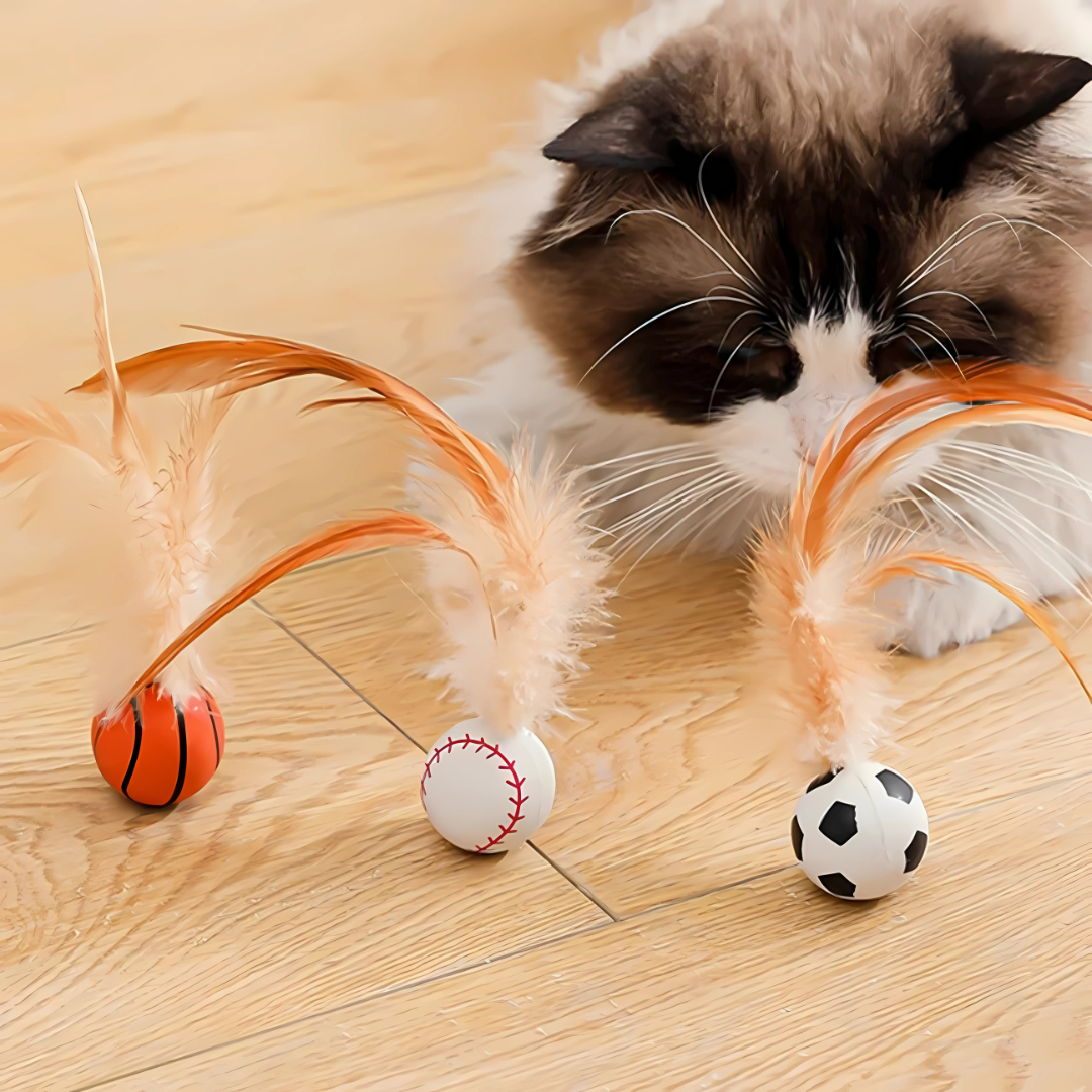 Feather Bouncy Ball